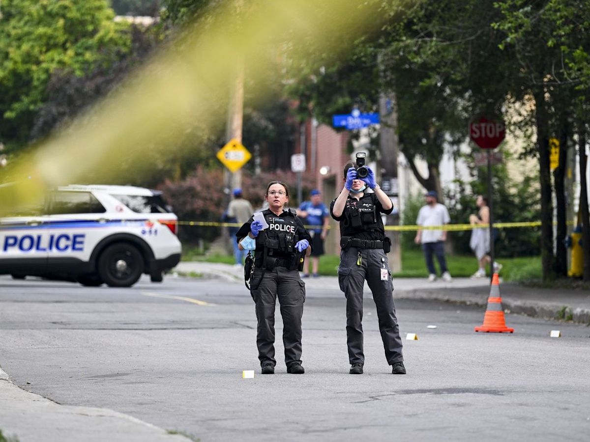 New data shows stabbings in Ottawa are down this year. Has the city just been 'lucky?'
