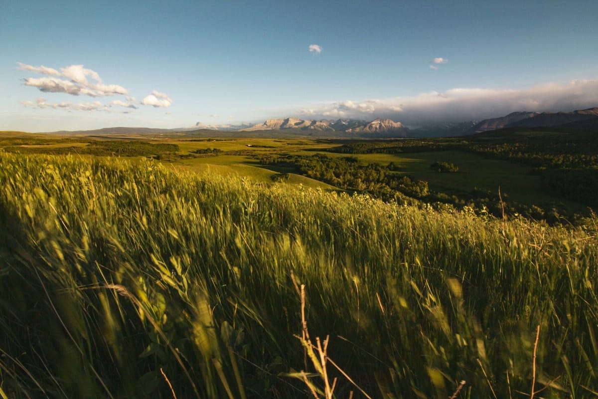 Trade hub project east of Calgary moves forward