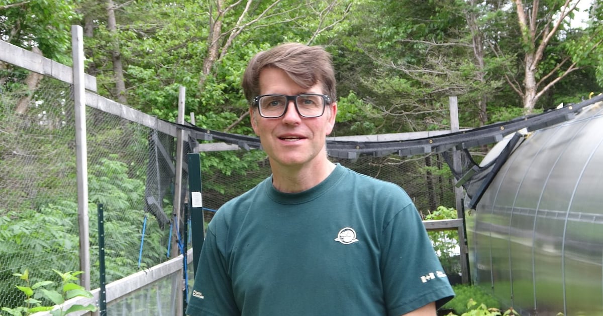 Can 1.25 million trees save Gros Morne's forests?