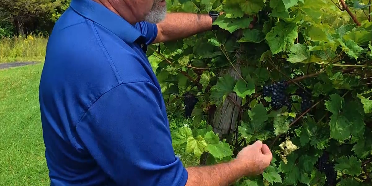 Vermont businesses scramble to adjust to latest wrinkle in Trump’s trade war on Canada