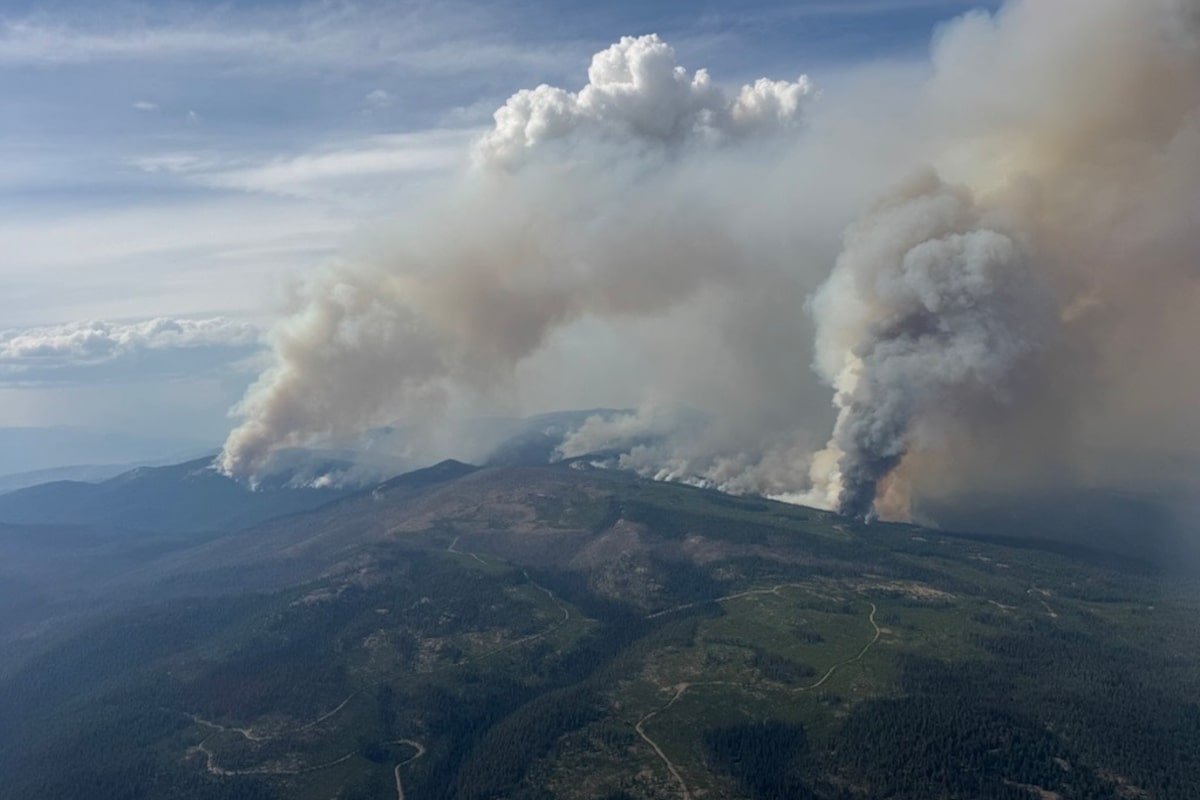 Wildfires surge in B.C. as province records 11,000 lightning strikes