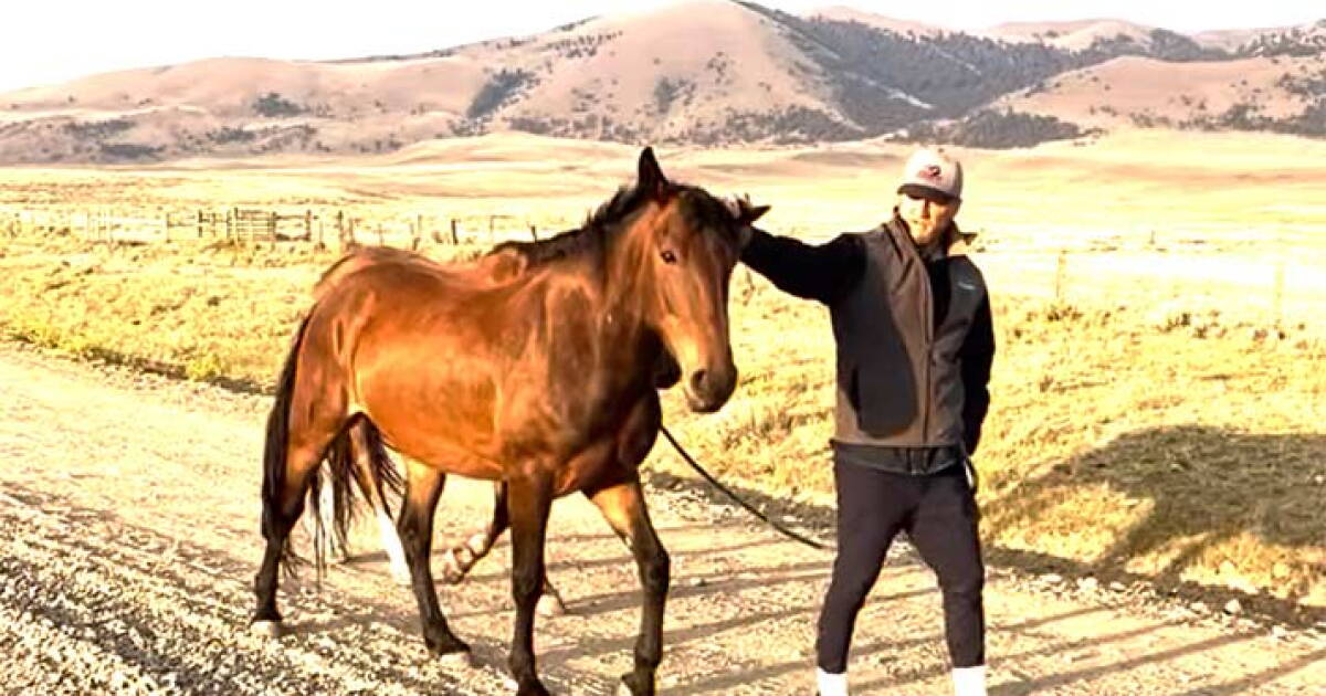 Local man riding 500 miles on horseback to the Canada border