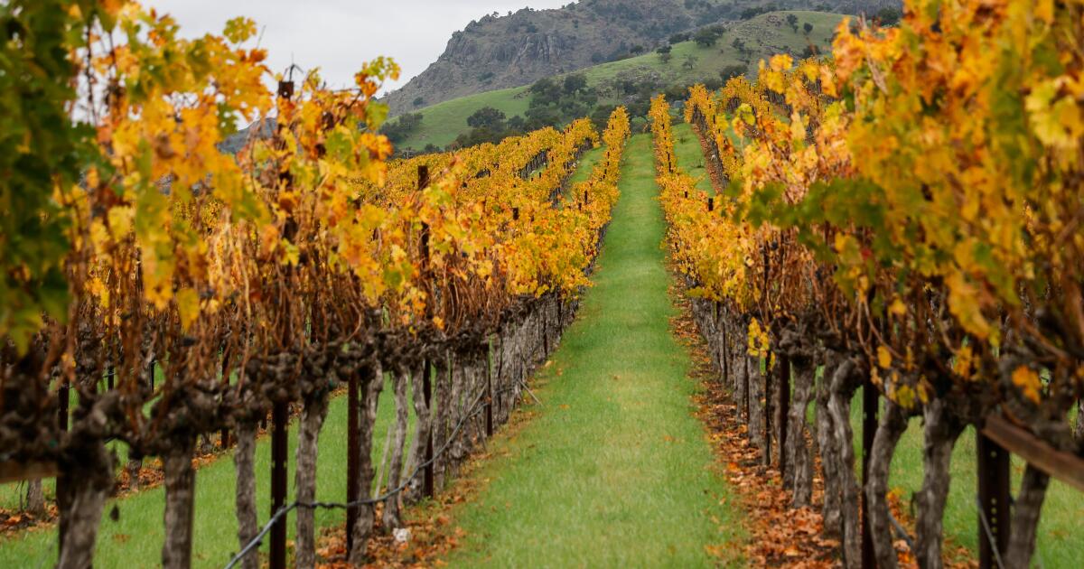 California wine exposed again as U.S.-Canada trade fight flares