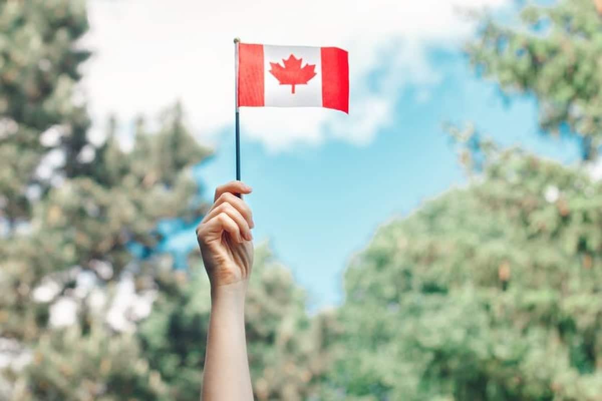 Canada opens intake for direct-to-PR pathway for francophone international students