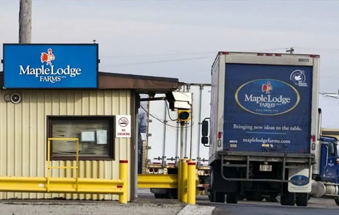 Company fined $500K after carbon dioxide leak causes critical injury at Brampton plant