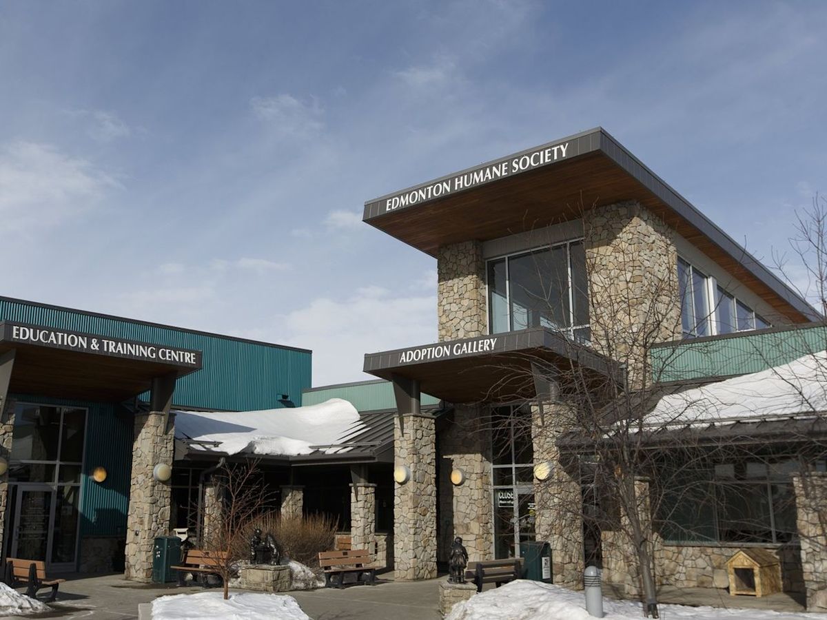 Edmonton Humane Society close to reaching $2.4M renovation goal