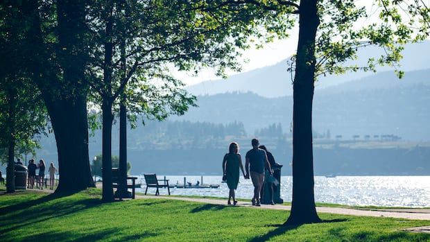 Tree-mapping tool piloted in Kelowna is expanding across B.C. to cool down cities