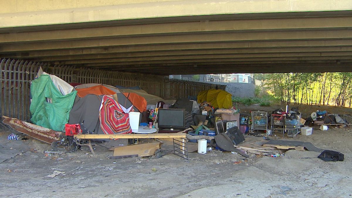 Winnipeg says encampment numbers down, but councillors question city's response