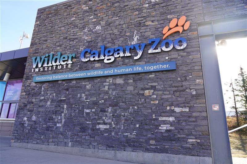 Wilder Institute’s Calgary Zoo warns of fraudulent ticket websites - DiscoverAirdrie.com