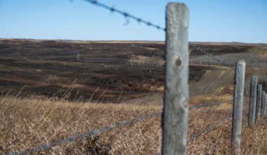 Canadian PM confirms 4 killed in military base fire