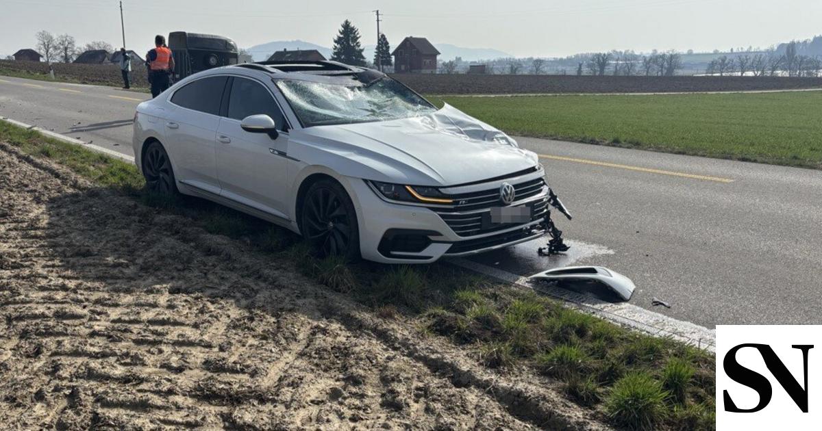 Schwerer Verkehrsunfall in Dörflingen: Kind und Pferd angefahren