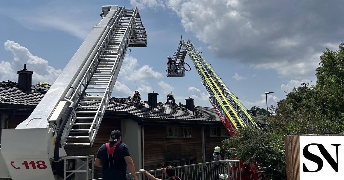 Photovoltaikanlage brennt in Schaffhausen: 66 Feuerwehrleute im Einsatz