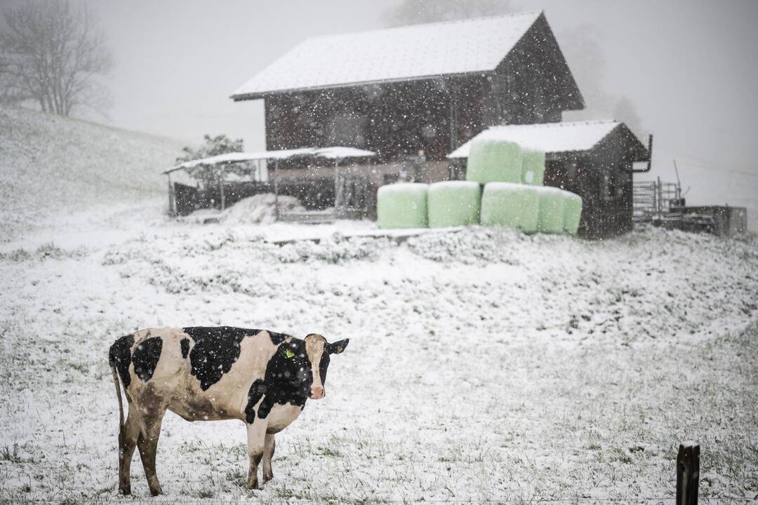 De la neige est prévue pour l’Ascension, dans le Jura et les Préalpes, et pourrait perturber la circulation
