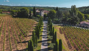 Offrez-vous une parenthèse provençale entre vignes, gastronomie et bien-être...