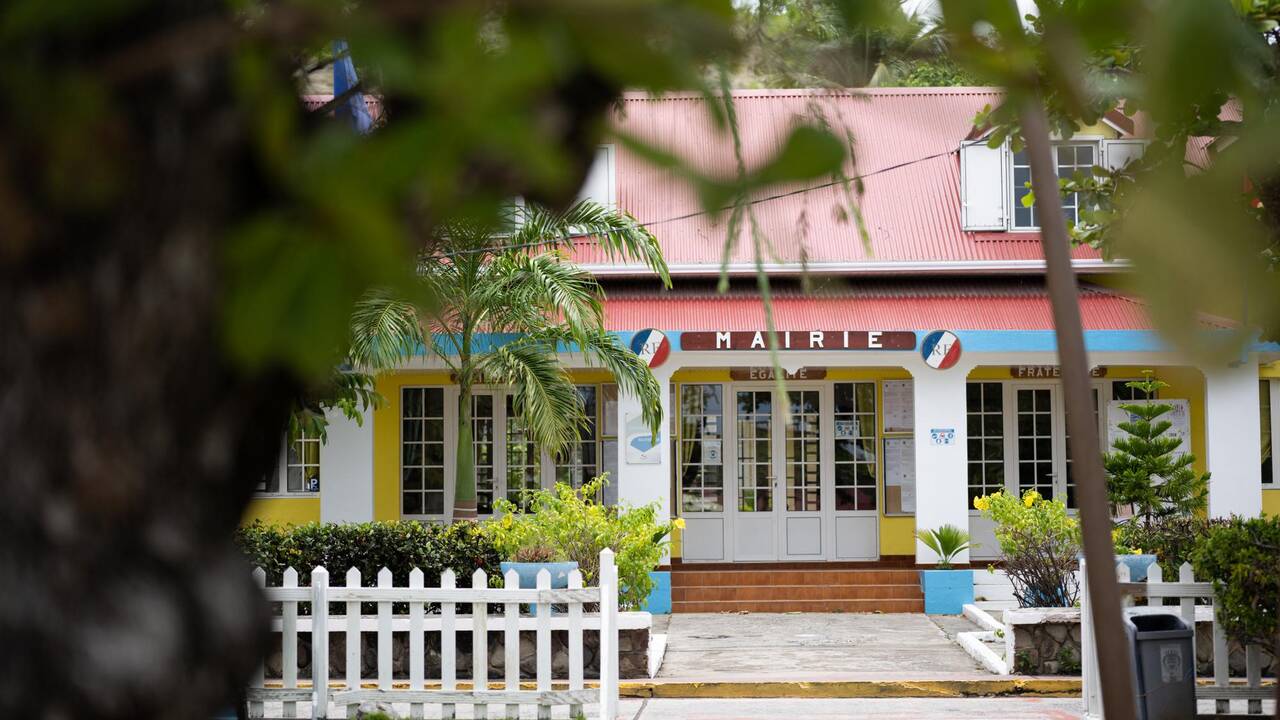 Les Hexagonaux en Guadeloupe, séduits par les «privilèges cocotiers»: «Ils ont le salaire majoré mais le coût de la vie est le même pour tous»