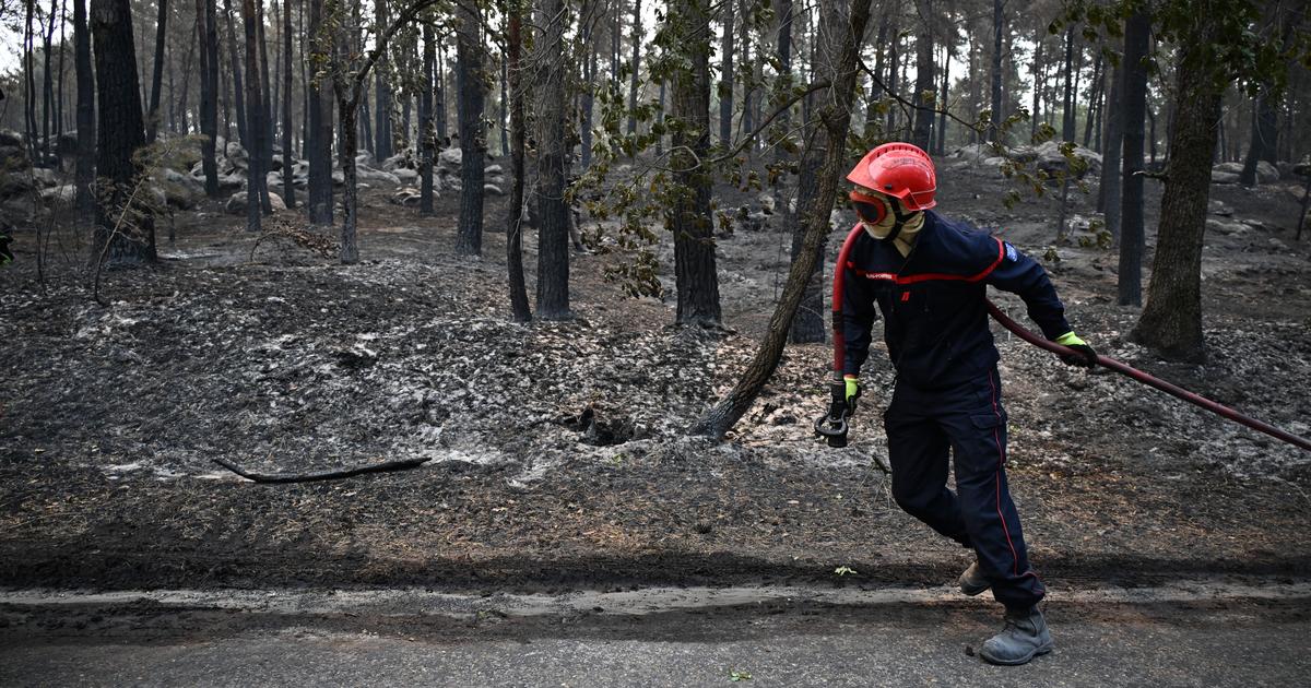 Forêt de Fontainebleau: un pompier volontaire avoue l'incendie