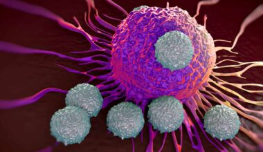 Une immunité adaptative unique protège les supercentenaires du cancer
