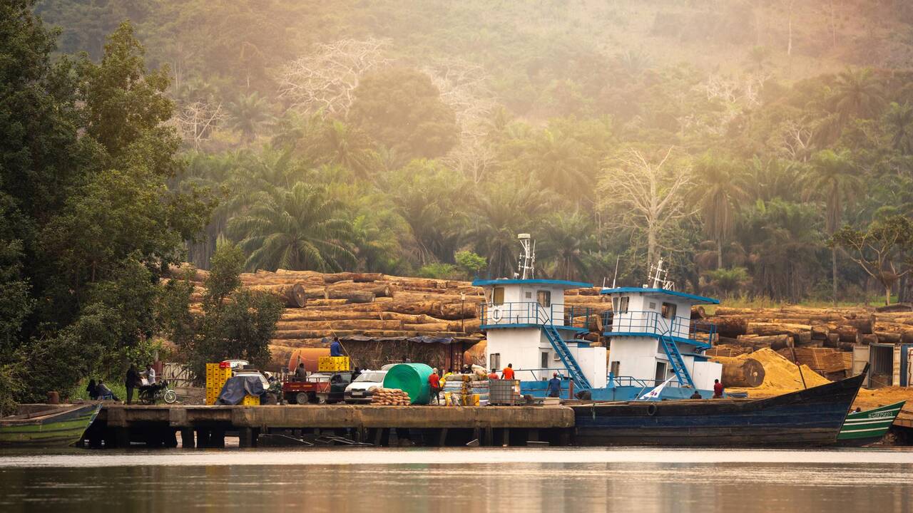«Les lois de la jungle»: Au bout du fleuve Congo, une biodiversité en sursis