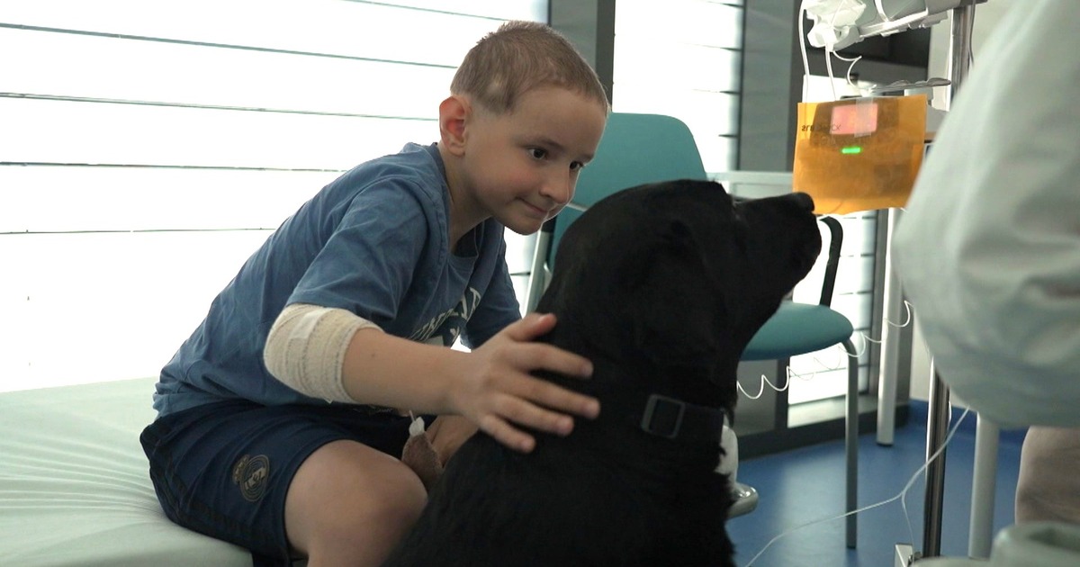 CHUV: comment les chiens thérapeutes aident les enfants malades