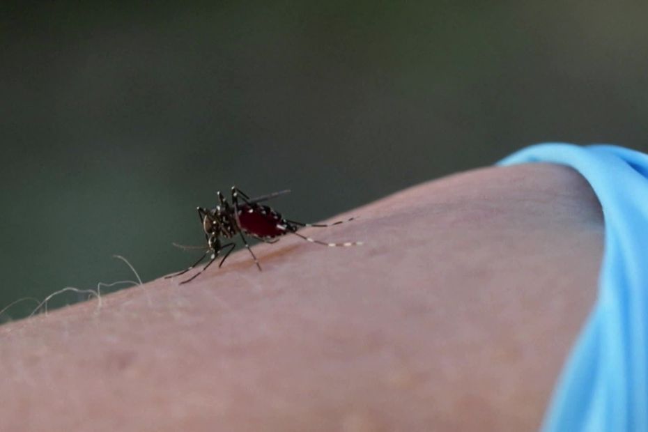 Photo: europesays.com Une opération nocturne de démoustication après la découverte d'un cas de dengue près de Lyon