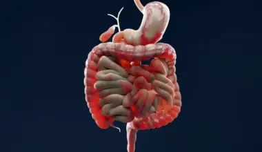Ce que l'on prenait pour une maladie de Crohn sans cause identifiable est en réalité le sabotage d'un seul frein naturel de l'organisme