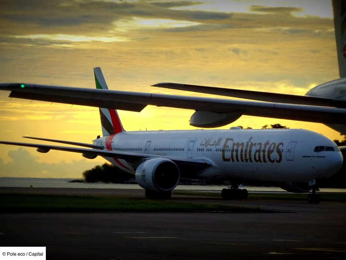 Panne, chaleur étouffante, malaises : le calvaire de 373 passagers coincés plus de 10 heures dans un avion Emirates