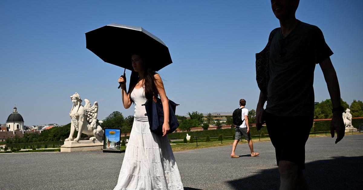 Canicule : l'Europe centrale face aux incendies et à la sécheresse
