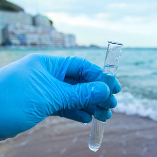 L'océan se révèle être bien plus que de l'eau salée. © adragan, Adobe Stock