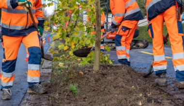 La Ville poursuit sa stratégie de végétalisation afin d'accroître les zones d'ombre et d'adapter le territoire au changement climatique.