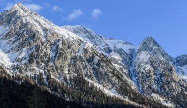 Bière: un fût perdu en 1978 retrouvé dans un glacier du Tyrol