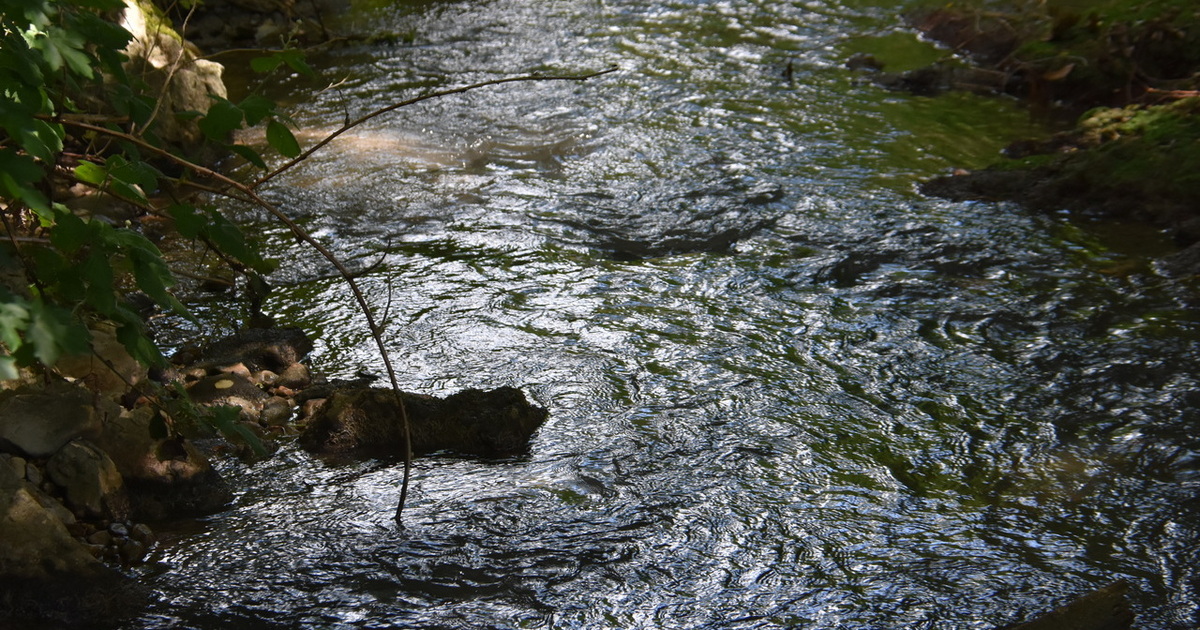 Géothermie à Haute-Sorne: l'eau du Tabeillon autorisée sous réserve