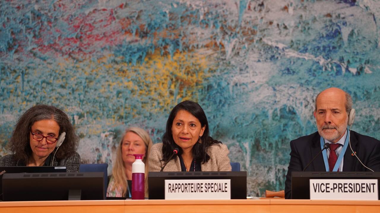 War, mining and disinformation threaten fundamental right to healthy environment: UN expert Astrid Puentes Riaño