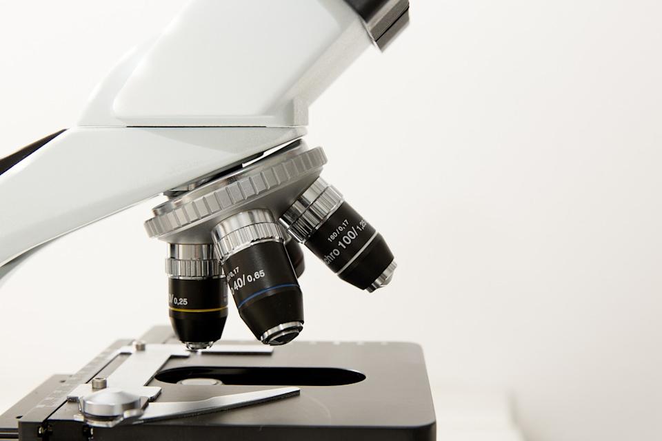 Novartis (NVS) Enters $1.7 Billion Development Deal, Says Report 