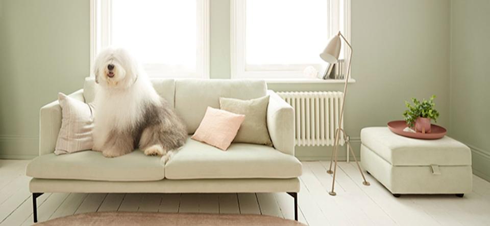 DFS Furniture stands out in retail sector, says UBS