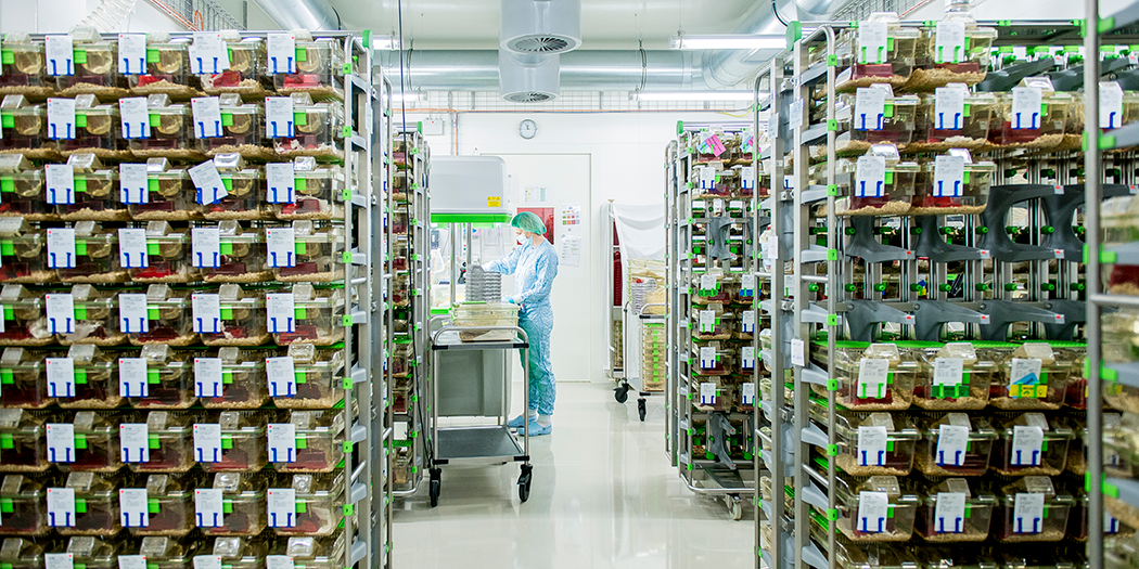 Guided tours of the ETH rodent facility – Staffnet