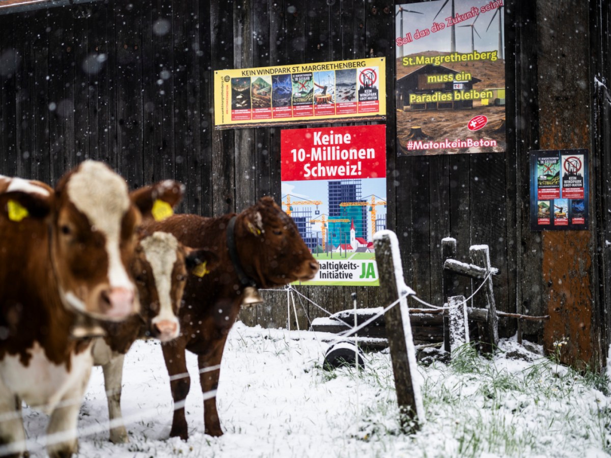 Swiss population cap would be costly, says migration office