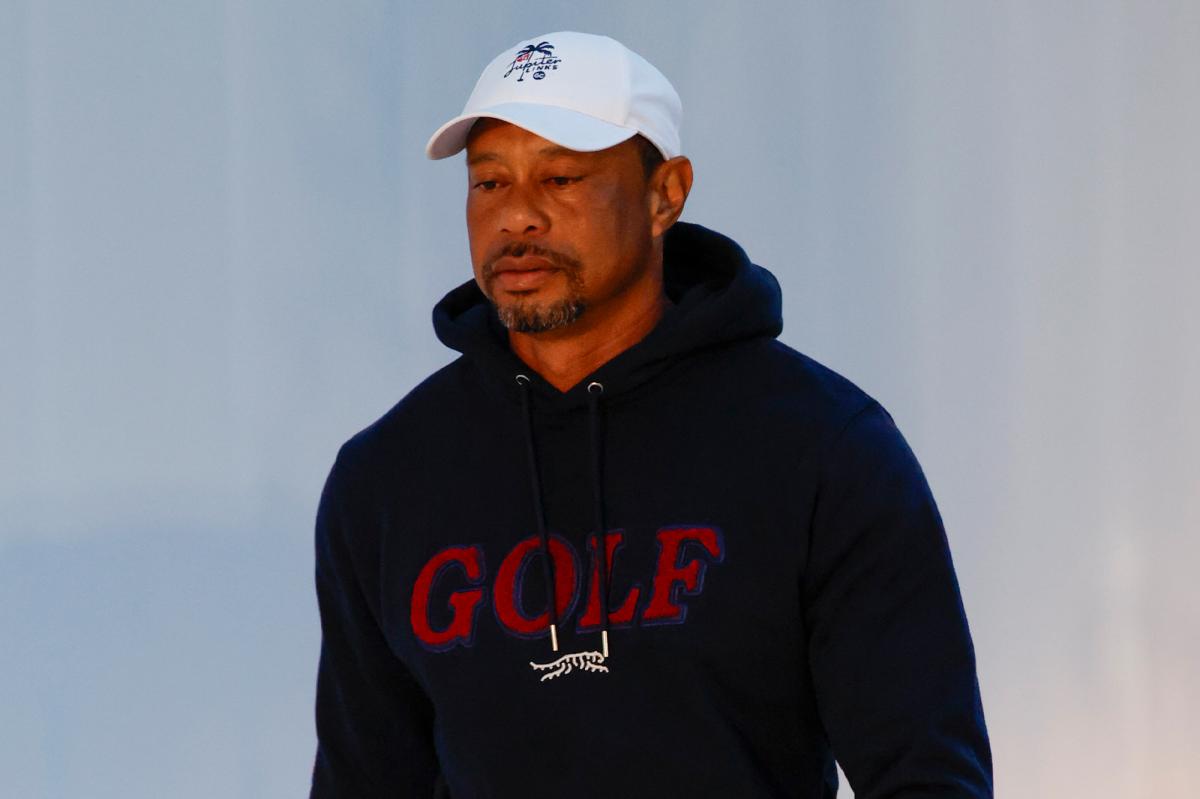 Tiger Woods' plane returns to Switzerland as girlfriend Vanessa Trump battles breast cancer