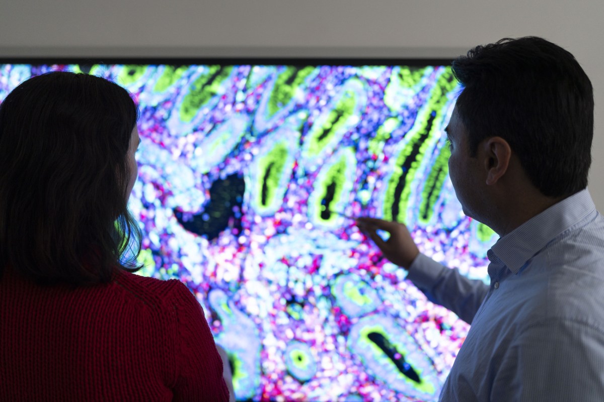 AI’s next pharma challenge: tackling costly and risky clinical trials