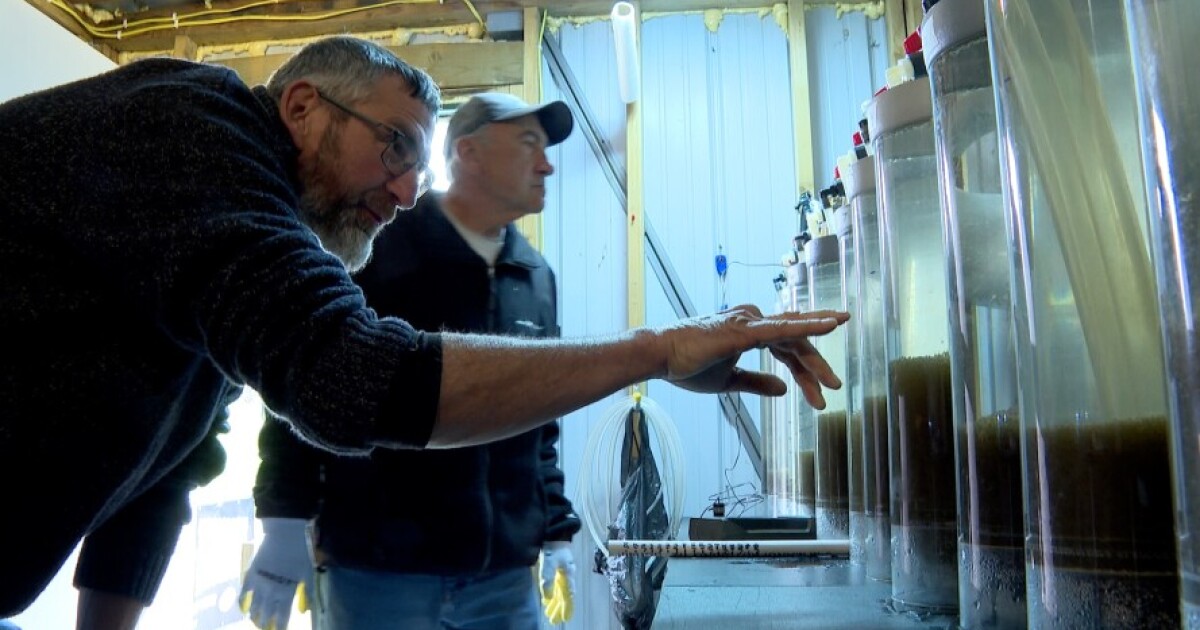 Volunteers restart Walworth County fish hatchery to keep Geneva Lake stocked