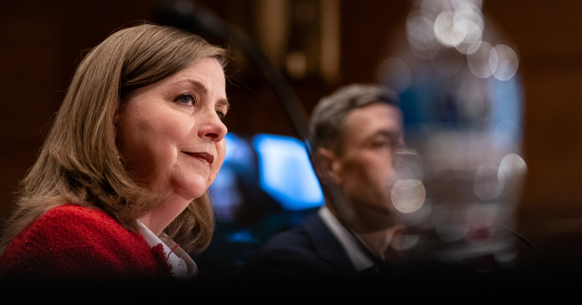 Banks 'fairly, but not totally' satisfied with Basel rule