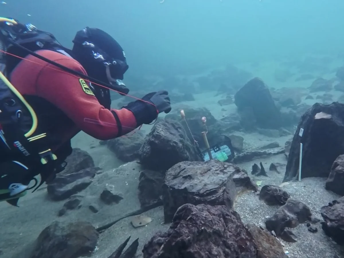 1,700-Year-Old Roman Bridge Discovered Beneath the Aare River in Solothurn, Switzerland
