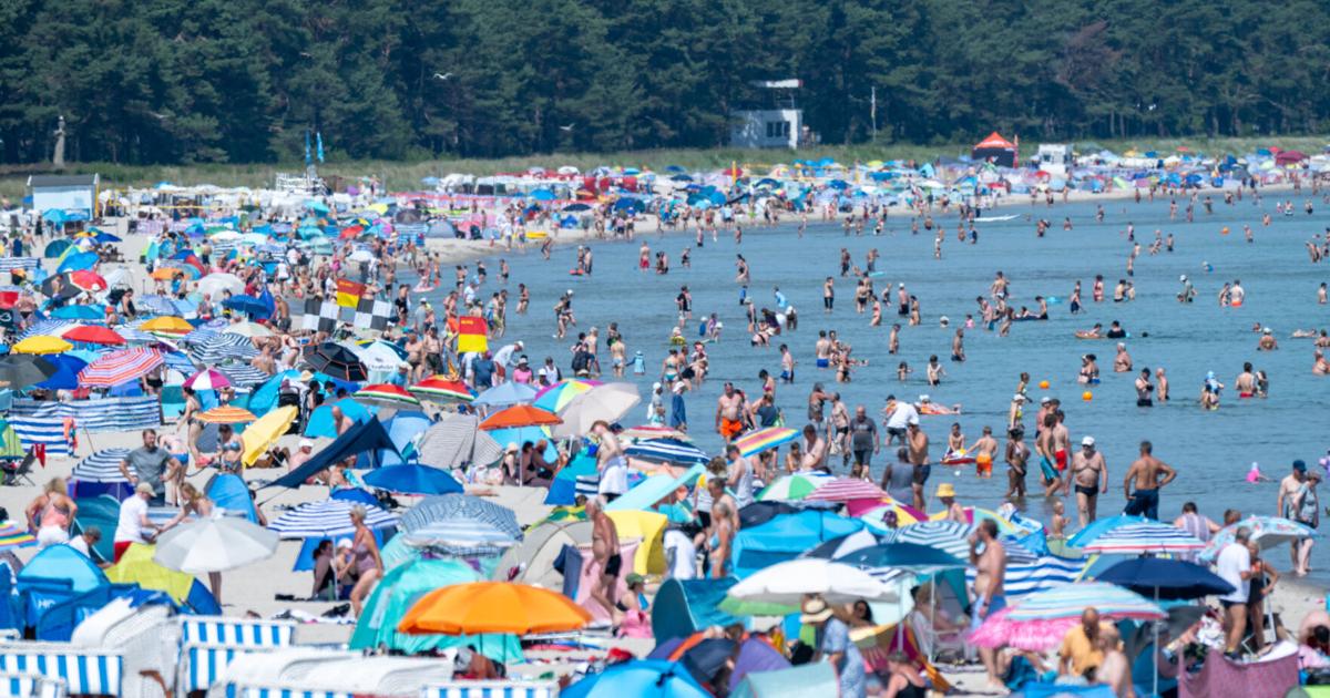 Central Europe sizzles as heat records are smashed in Switzerland, Denmark and Czech Republic | Region