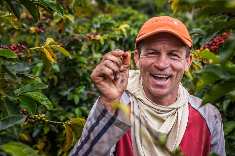 How Nestlé and the ILO are Strengthening Labour Standards in Coffee Supply Chains