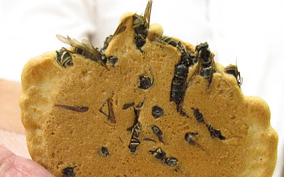 A full close-up of a wasp cookie.