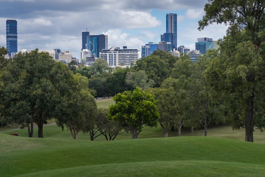 A green parkland with a cityscape in the distant background.