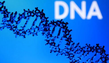 Roche launches Axelios gene sequencer in a bid to loosen Illumina's grip