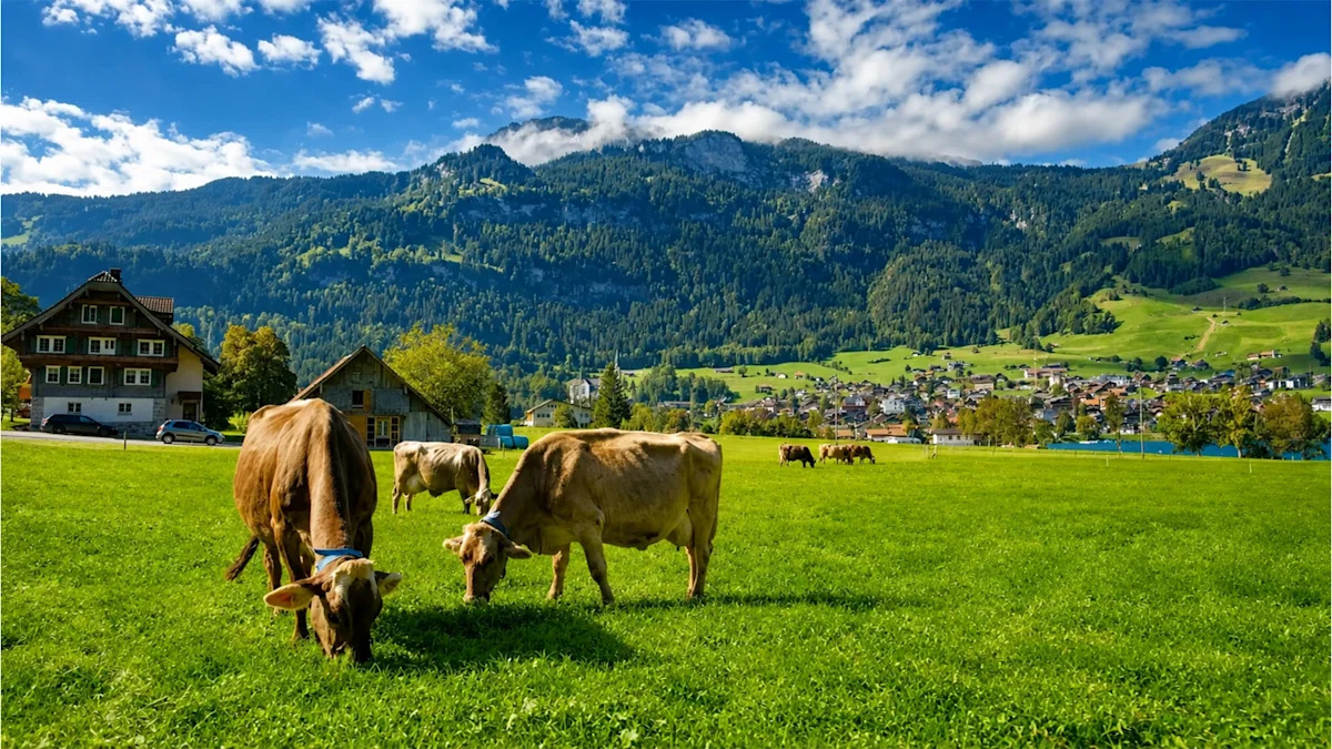 Top 10 Mountains In Europe From Swiss Alps To Elbrus