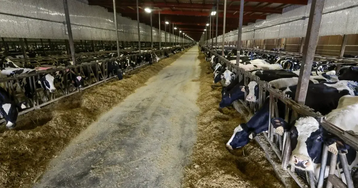 Nestle review puts dairy sector on alert | News Extra
