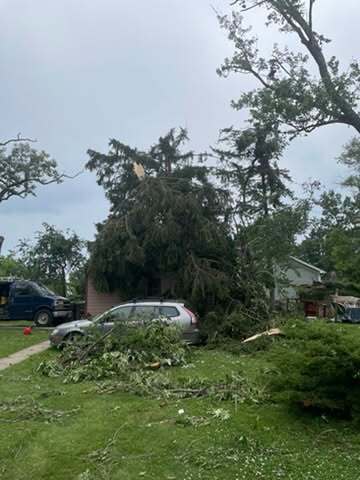 A large tree has fallen onto a car parked in front of a house, with broken branches and debris scattered across the lawn.