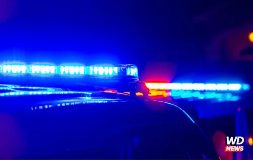 68-Year-Old Killed by Falling Tree Limb in Geneva County